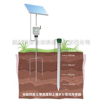 桃子视频APP污免费看下载剖面水分速测仪