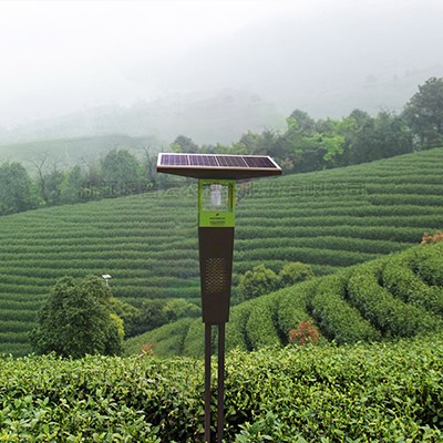 茶园太阳能杀虫灯 茶园太阳能杀虫灯
