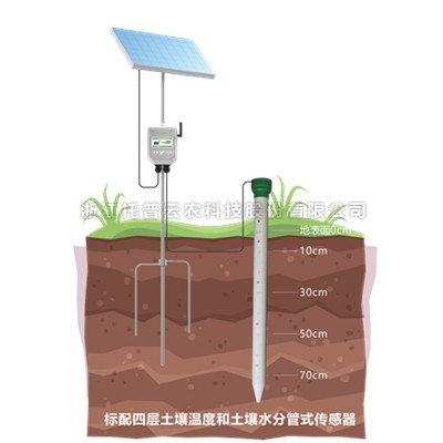 管式桃子视频APP污免费看下载墒情监测站TPGSQ-4