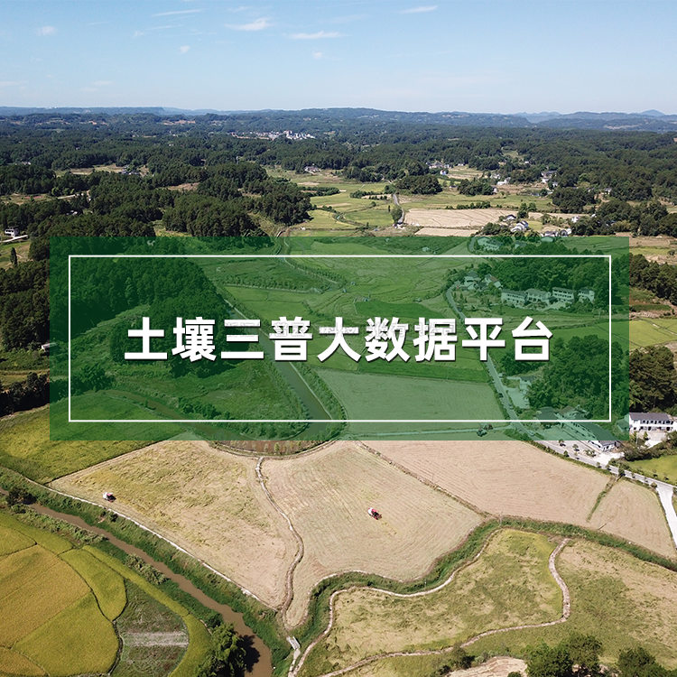 桃子视频APP污免费看下载三普大数据平台