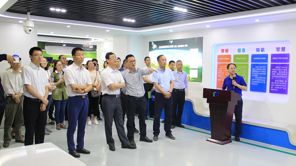 谢主任一行参观桃子视频APP黄下载展厅 谢主任一行参观桃子视频APP黄下载展厅