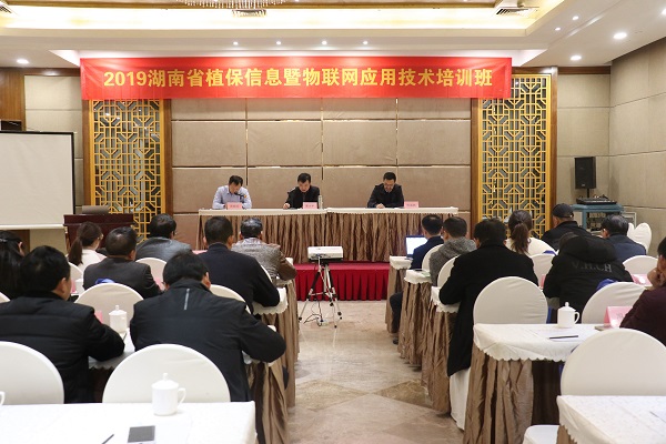 桃子视频APP黄下载服务湖南省植保信息技术培训班在杭开班 桃子视频APP黄下载服务湖南省植保信息技术培训班在杭开班