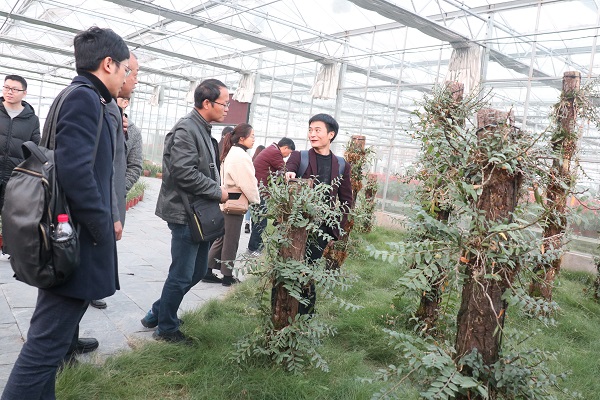 培训班参观桃子视频APP黄下载临浦基地 培训班参观桃子视频APP黄下载临浦基地