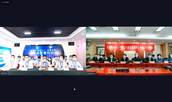 全国农技中心与桃子视频APP黄下载签订战略合作协议 全国农技中心与桃子视频APP黄下载签订战略合作协议