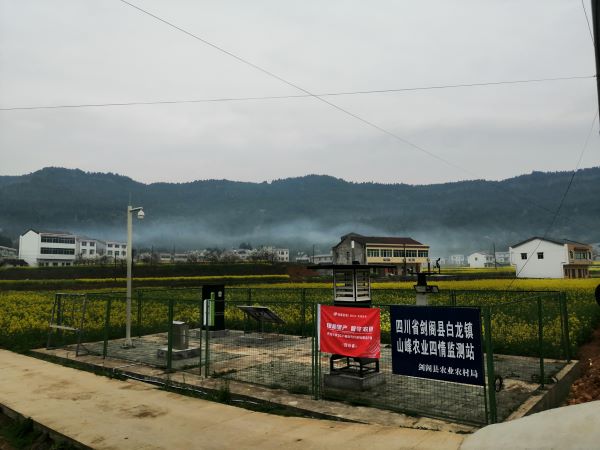 桃子视频APP黄下载病虫害监测点 桃子视频APP黄下载病虫害监测点