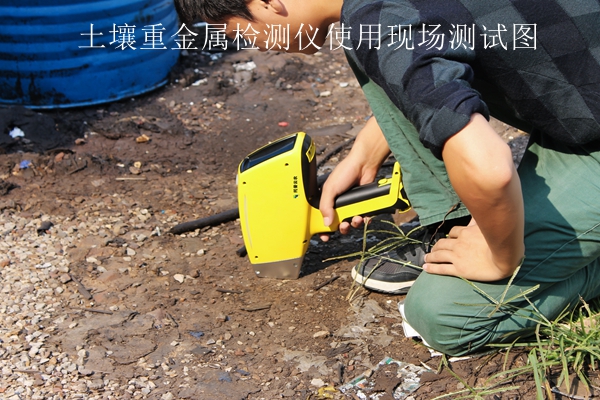 桃子视频APP污免费看下载重金属检测仪使用现场测试图 桃子视频APP污免费看下载重金属检测仪使用现场测试图