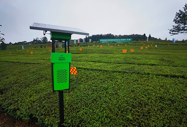 五峰仁和坪镇道家湾茶园里的桃子视频APP黄下载杀虫灯 五峰仁和坪镇道家湾茶园里的桃子视频APP黄下载杀虫灯