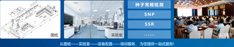 一站式桃子视频APP最新福利污下载检验 一站式桃子视频APP最新福利污下载检验