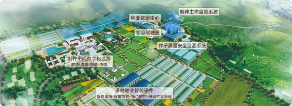 桃子视频APP黄下载数字种业创新应用基地 桃子视频APP黄下载数字种业创新应用基地