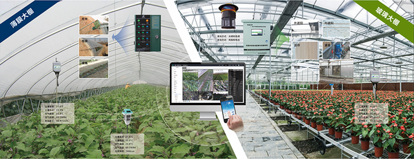 桃子视频APP黄下载设施农业创新应用基地 桃子视频APP黄下载设施农业创新应用基地