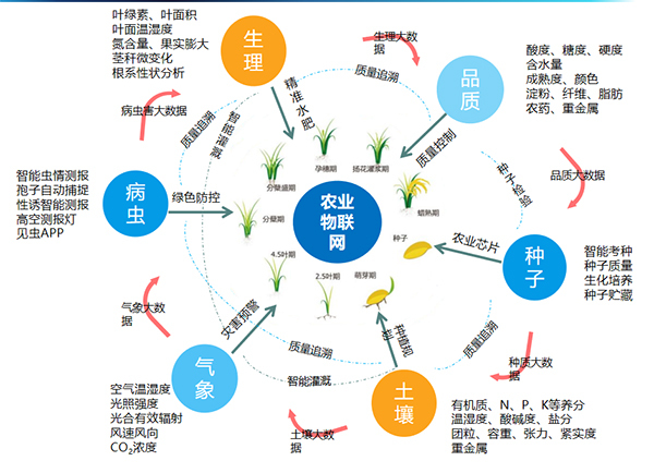 桃子视频APP黄下载打造的全要素智能采集系统 桃子视频APP黄下载打造的全要素智能采集系统
