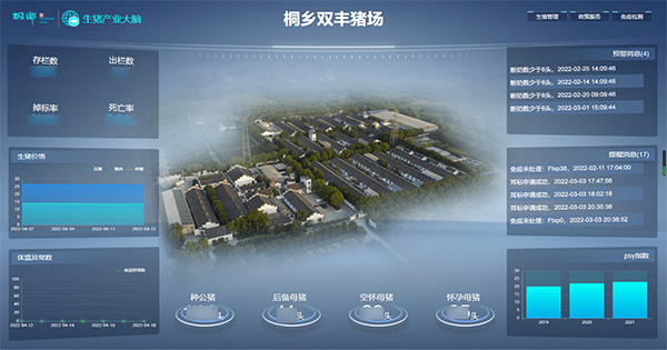 桃子视频APP黄下载打造的“生猪精密智管”社会化服务应用 桃子视频APP黄下载打造的“生猪精密智管”社会化服务应用