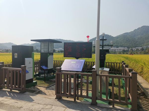 桃子视频APP黄下载农作物病虫害监测点 桃子视频APP黄下载农作物病虫害监测点