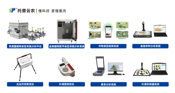 1725355366674853.png seo图 (5).png